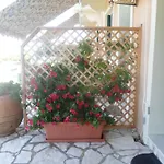 Apartman Heliovasilema