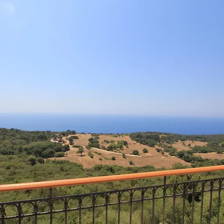 Heliovasilema * 피스카던