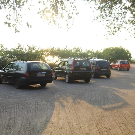 아파트 Heliovasilema *