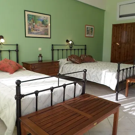 Heliovasilema * 피스카던