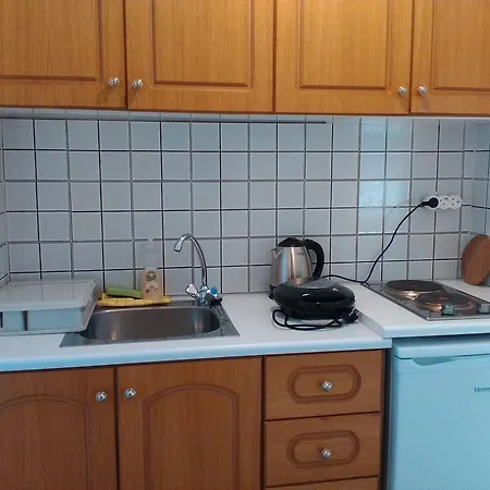 아파트 Heliovasilema 피스카던